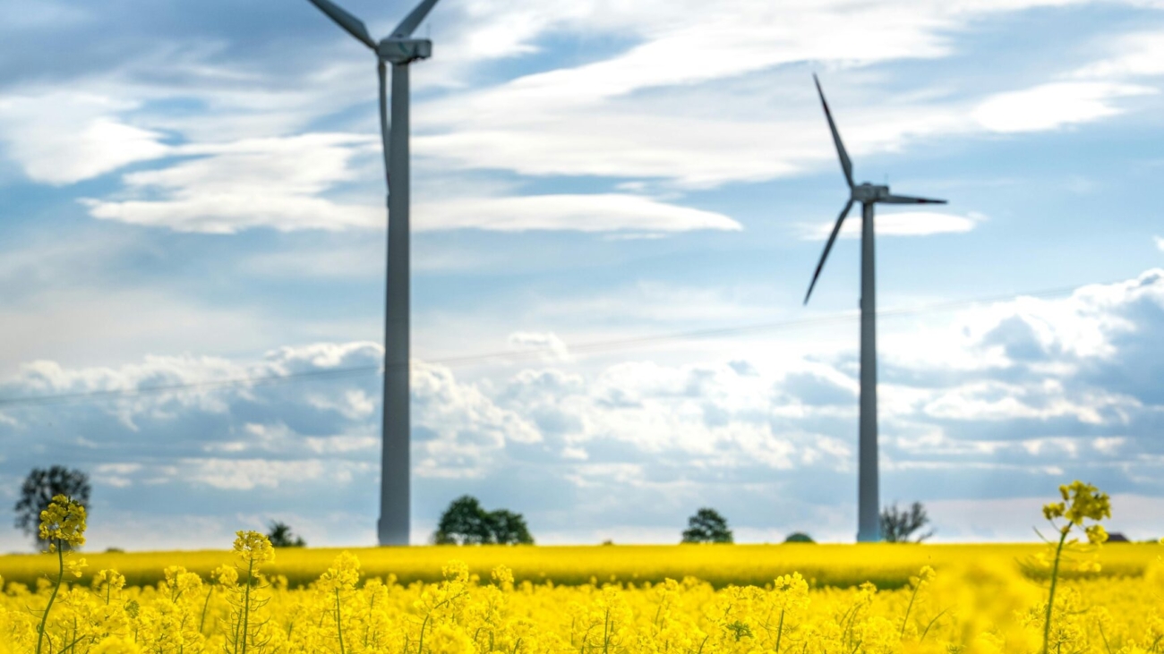 pexels-barczakshoots-8148697