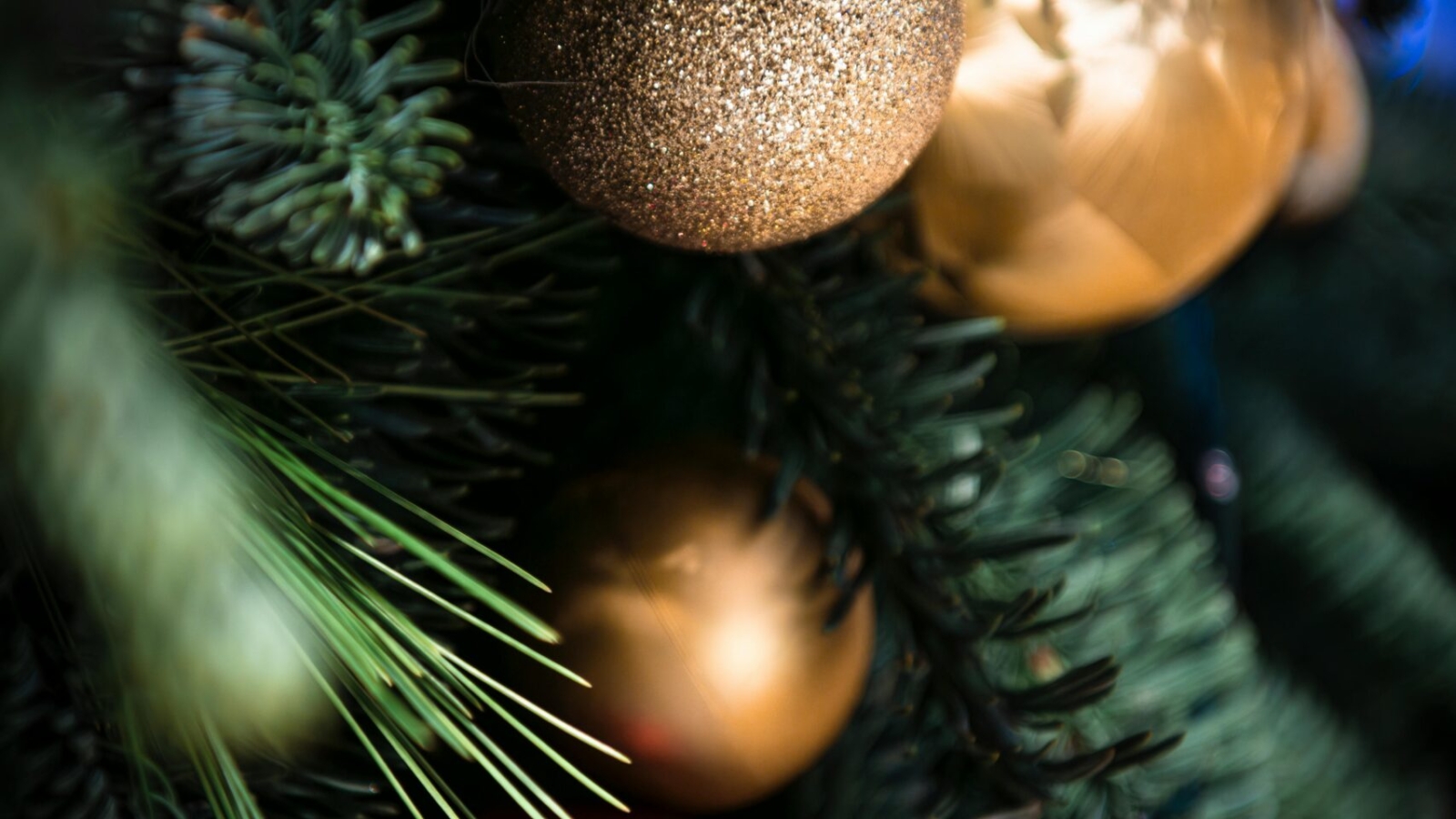 pexels-zakariahanif-35217786