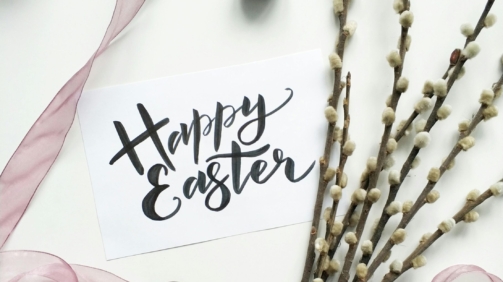 pexels-alena-koval-233944-953057