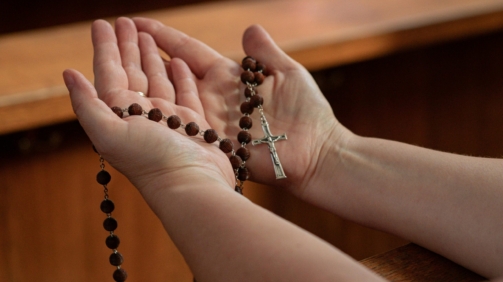 pexels-dolina-modlitwy-3475854-10306345