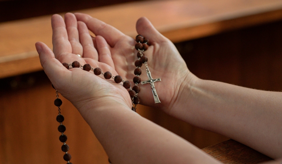 pexels-dolina-modlitwy-3475854-10306345