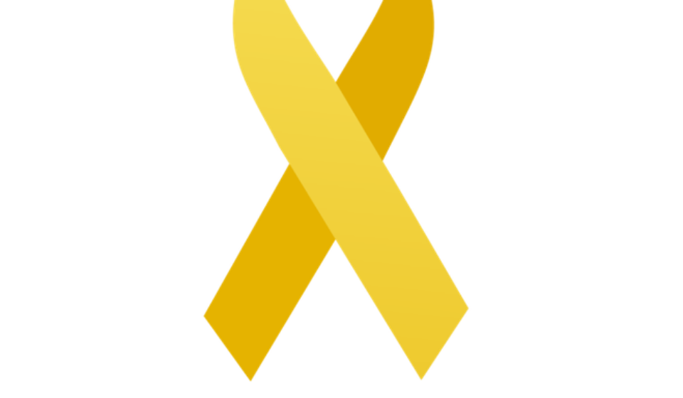 maio amarelo 2